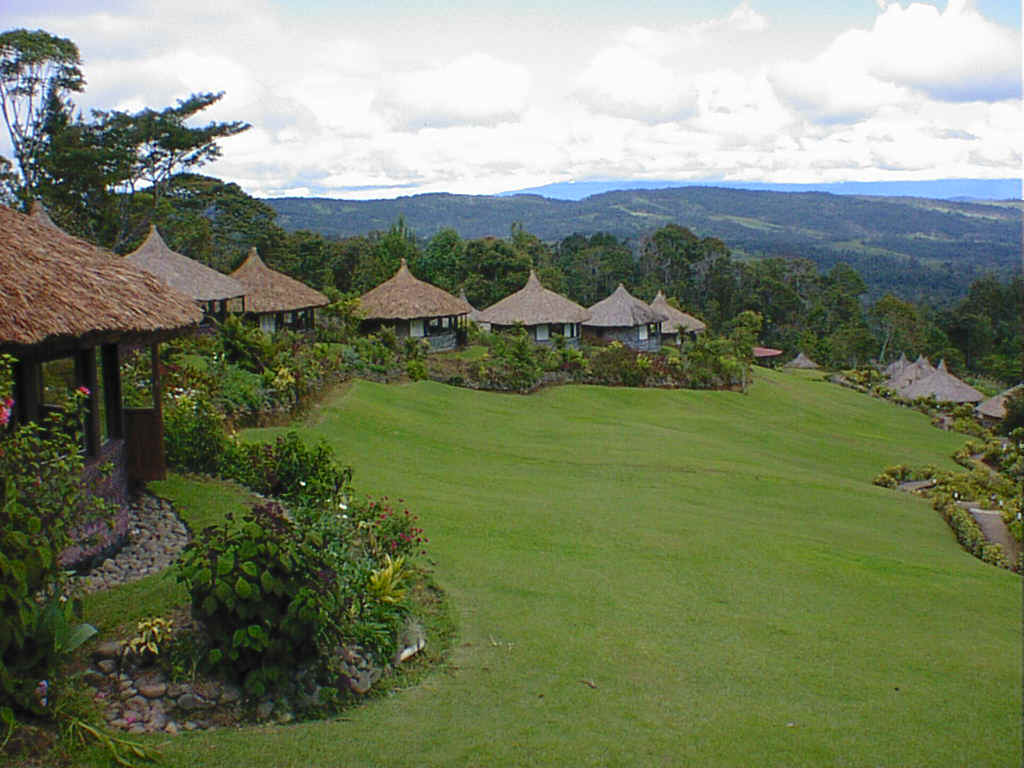 2000Safari07.JPG (155607 bytes)